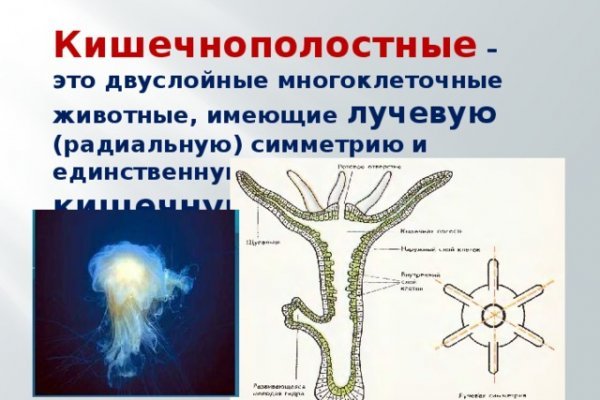 Мега маркет тор